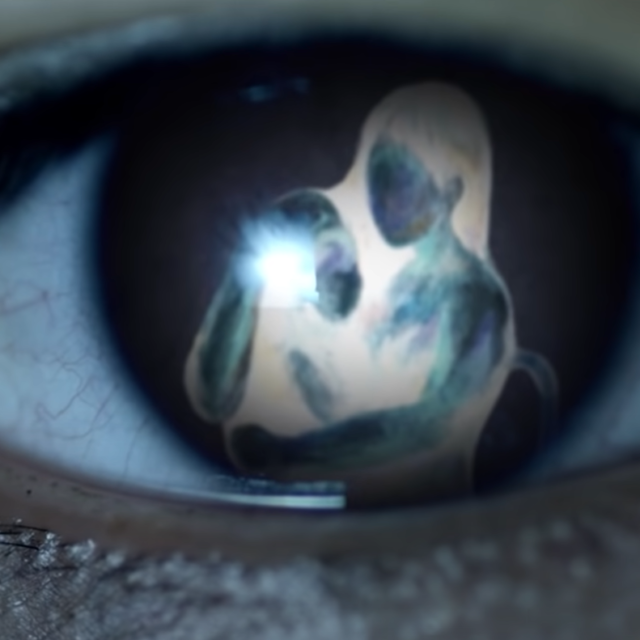 The negative of the painting in V eye (#3 STIGMA)