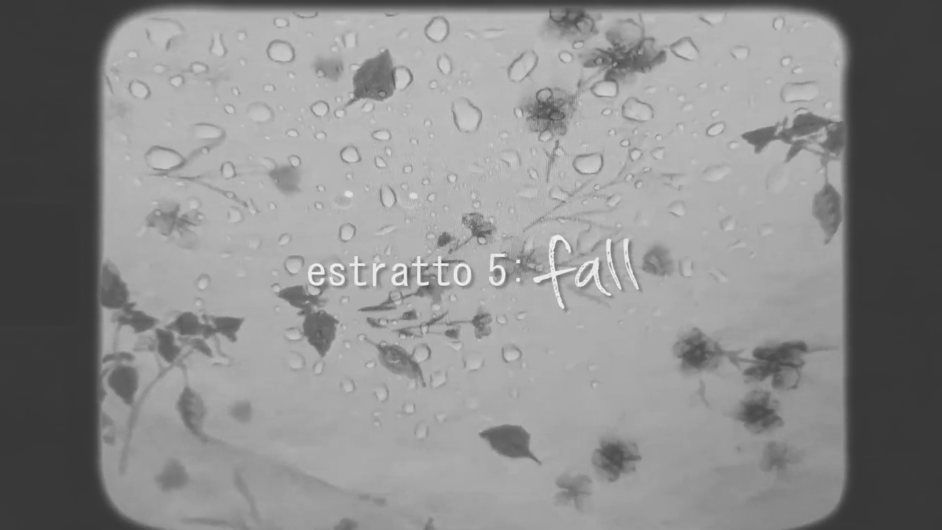 Giulia Menaspà Videomaker Fall