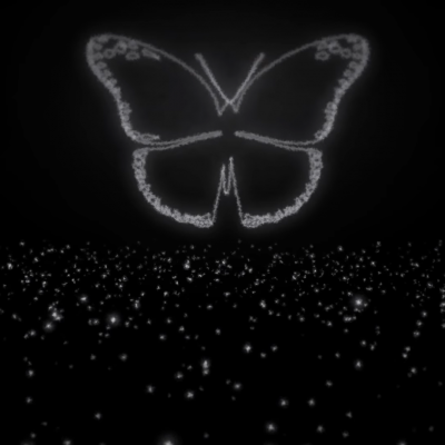 A butterfly during The WINGS Tour Concert