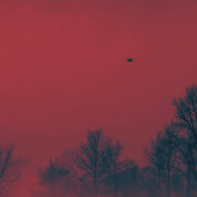 The frame of a bird flying on a red sky (both in #1 BEGIN and #5 REFLECTION)
