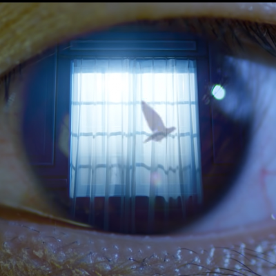 Jin seeing a bird flrying outside his window (#7 AWAKE)