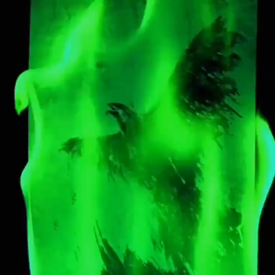 The painting of the bird still burning in a frame from the concert
